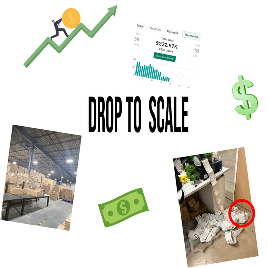 Drop-To-Scale Bundle
